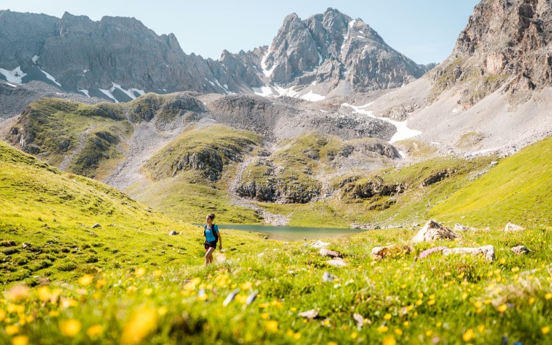 Zomerse alpenweide met een wandelaar